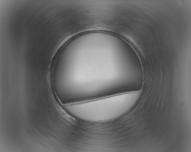 X0000074221460200608251116