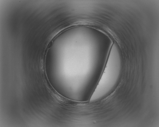 X0000074221465200608251116