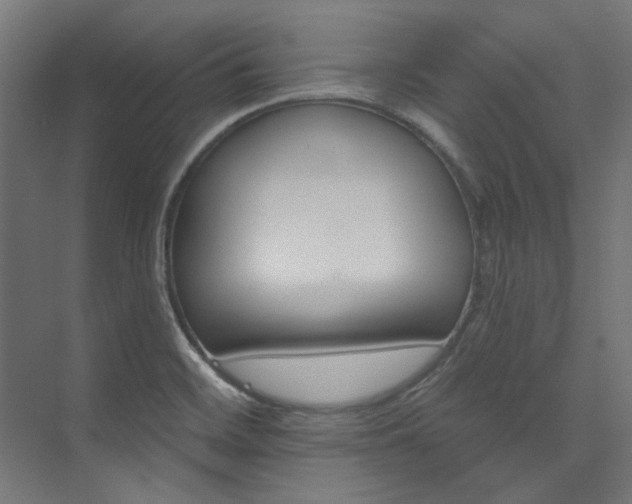 X0000074221468200608251116