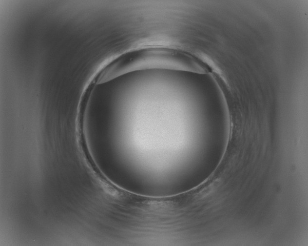 X0000074221469200608251116