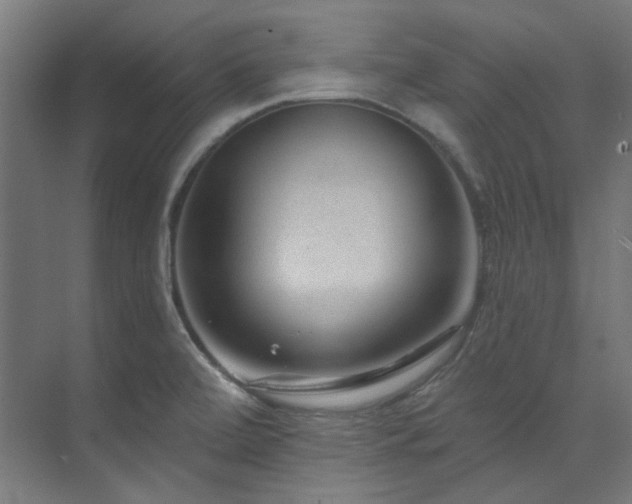 X0000074221472200608251116