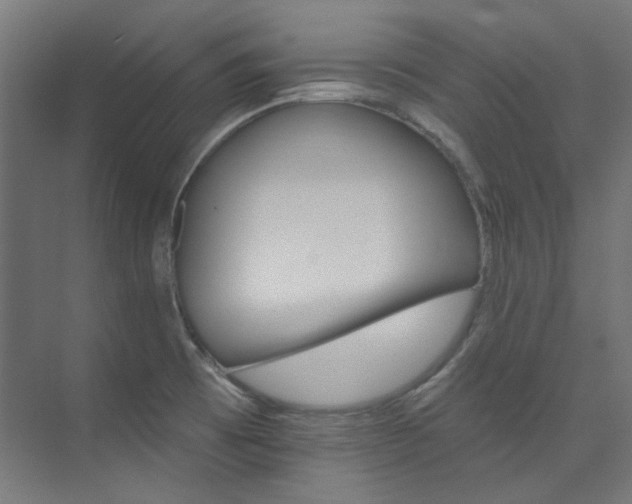 X0000074221473200608251116