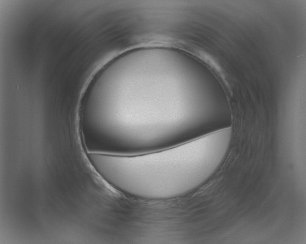 X0000074221480200608251116