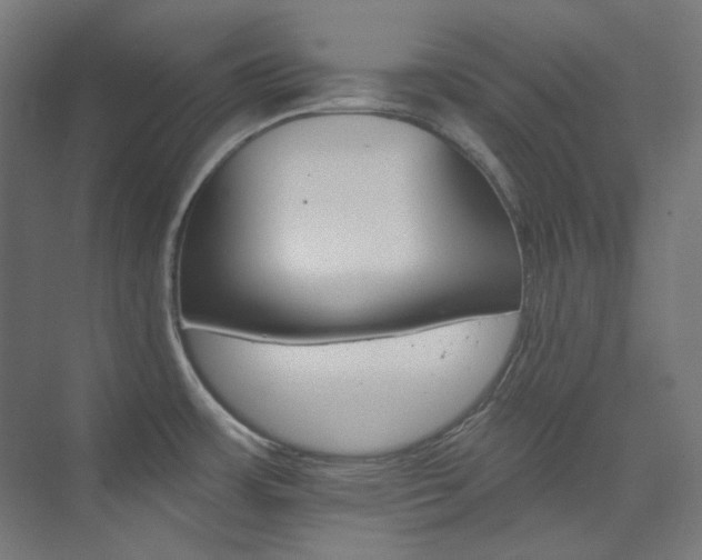 X0000074221483200608251116