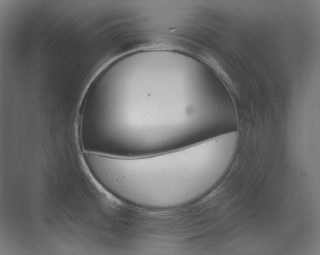 X0000074221484200608251116