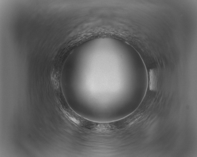 X0000074221491200608251115
