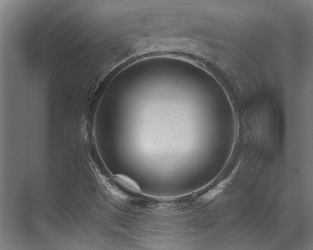 X0000074221497200608251115