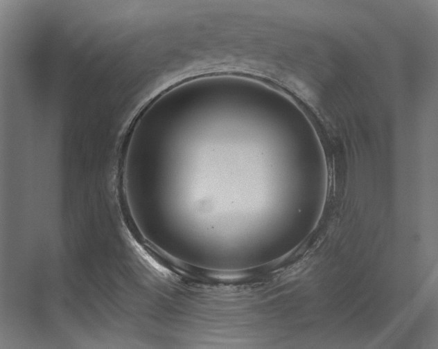 X0000074221500200608251115