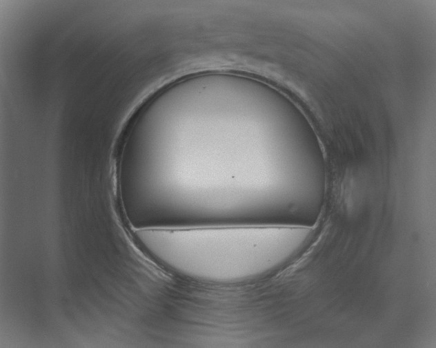 X0000074221509200608251115