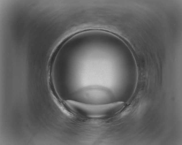 X0000074221511200608251115