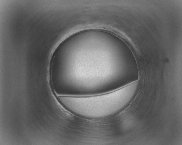 X0000074221512200608251115