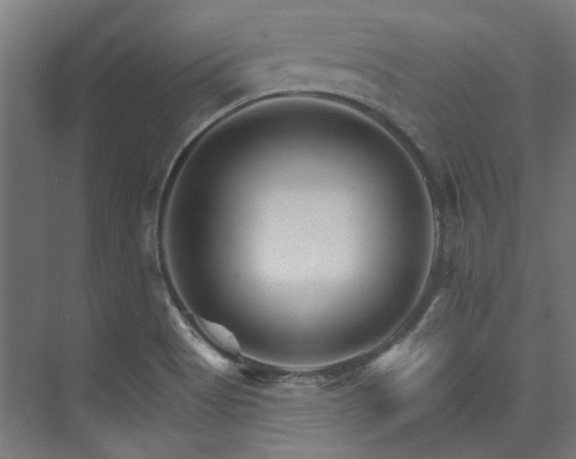 X0000074221513200608251115