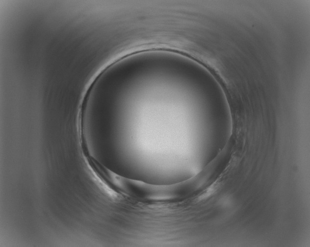 X0000074221516200608251115