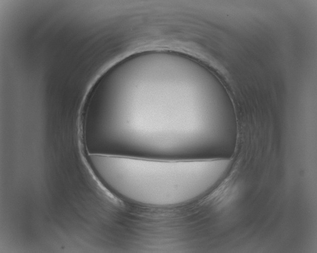 X0000074221517200608251115