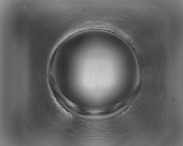 X0000074221520200608251115