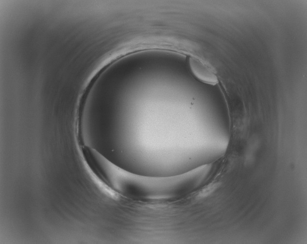 X0000074221523200608251115