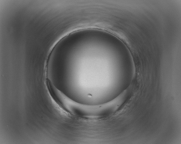 X0000074221524200608251115