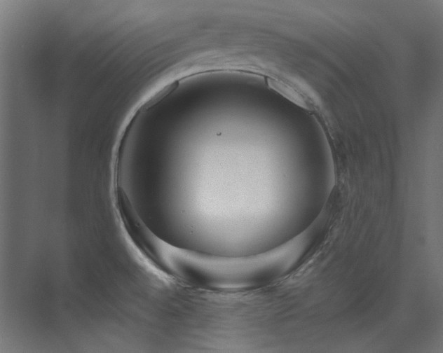 X0000074221528200608251115