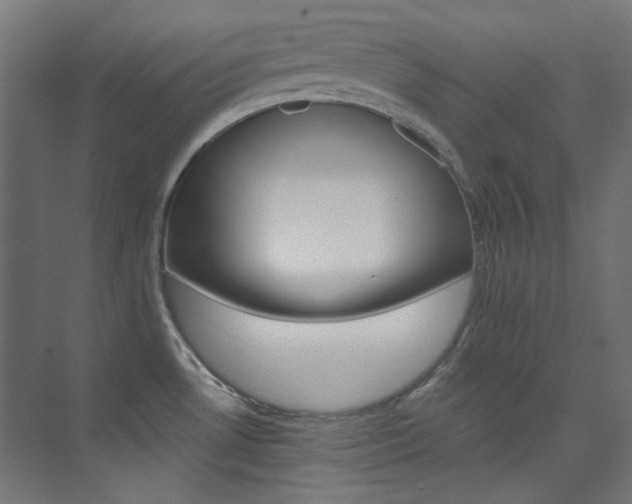 X0000074221530200608251115
