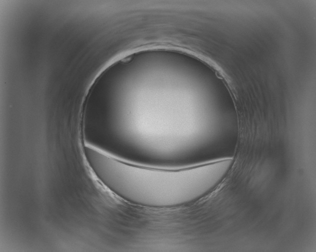 X0000074221534200608251116
