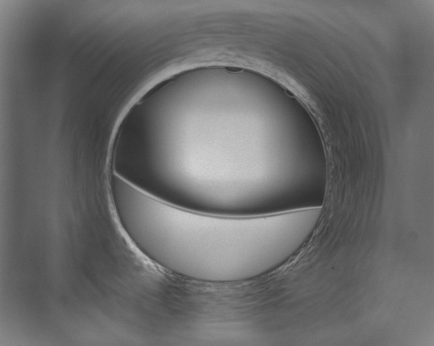 X0000074221536200608251116