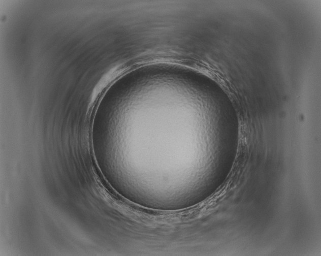 X0000074220004200609011228