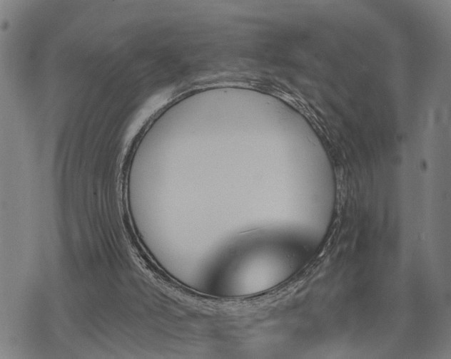 X0000074220006200609011228