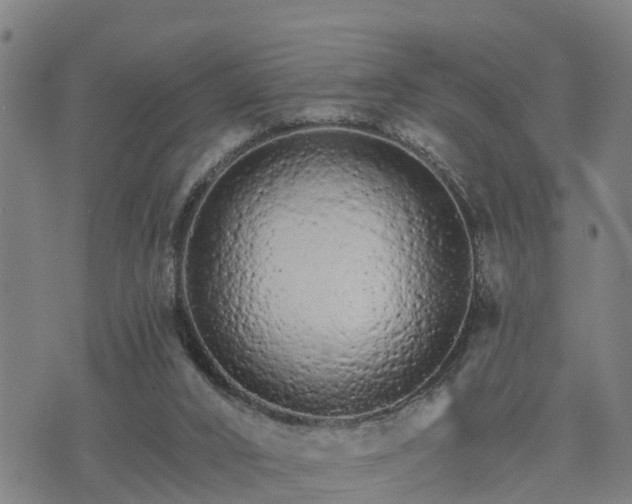 X0000074220016200609011228
