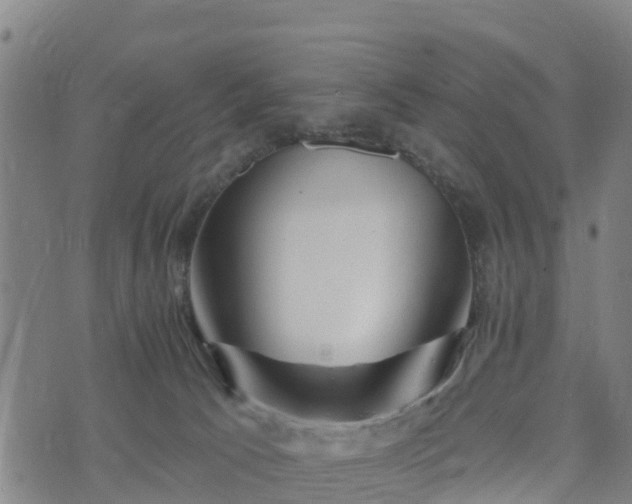 X0000074220033200609011228