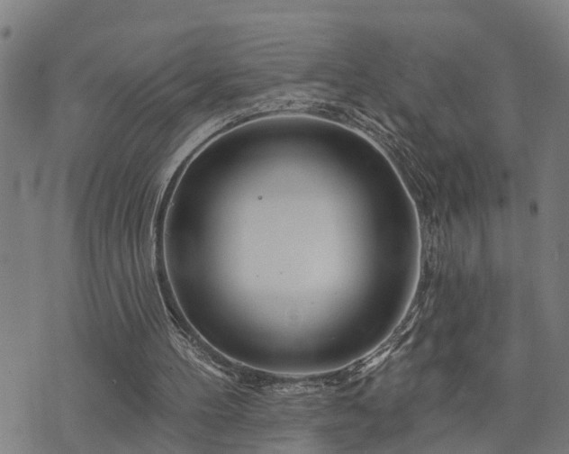 X0000074220100200609011227