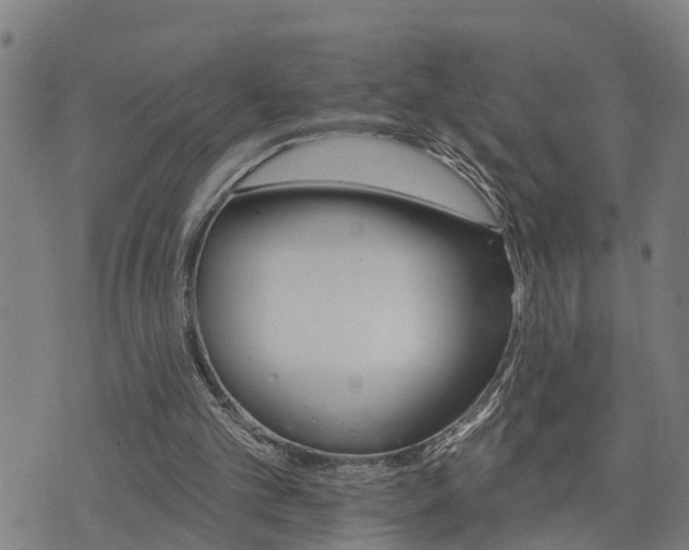 X0000074220101200609011227