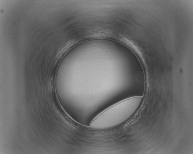 X0000074220105200609011227