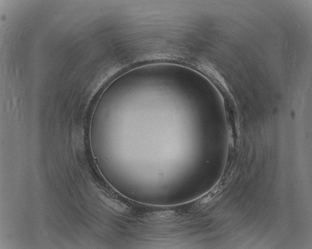 X0000074220108200609011227