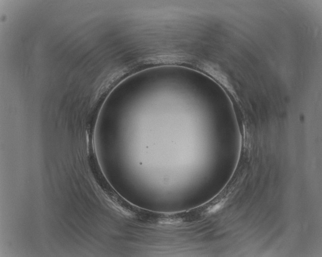 X0000074220109200609011227