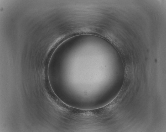 X0000074220112200609011227