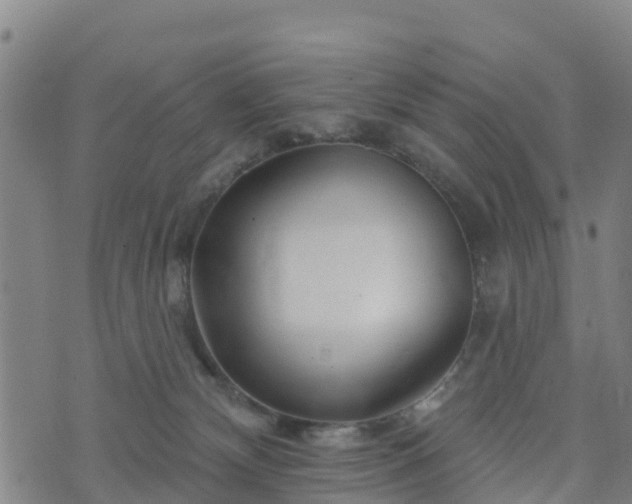 X0000074220132200609011226