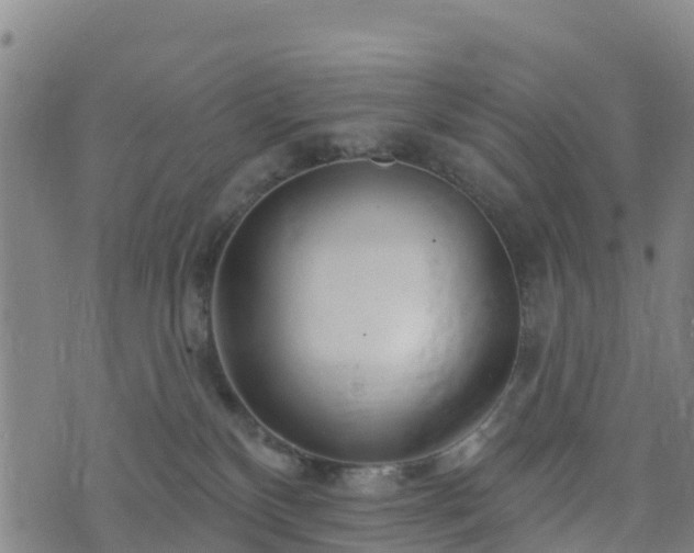 X0000074220136200609011226