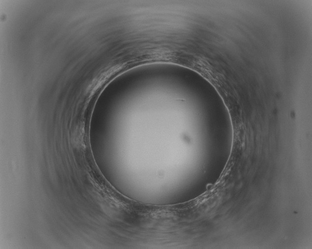 X0000074220146200609011225