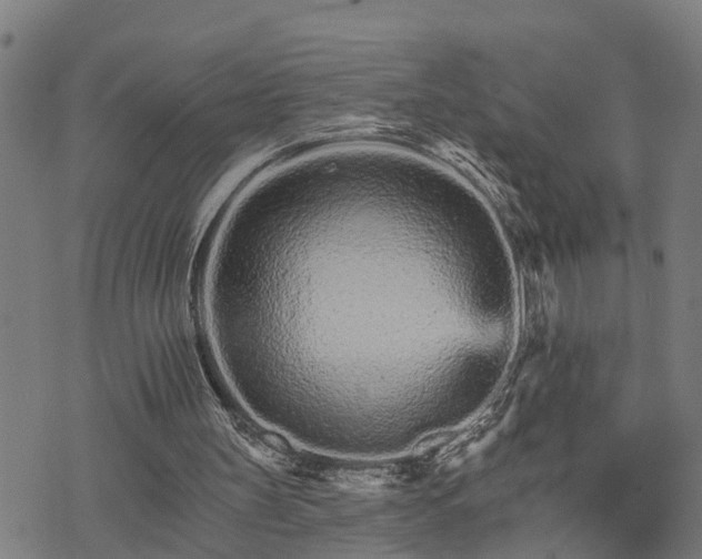 X0000074220147200609011225