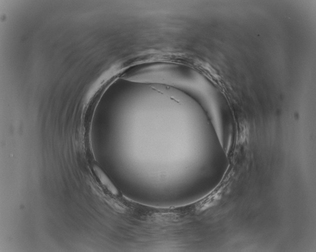 X0000074220150200609011225
