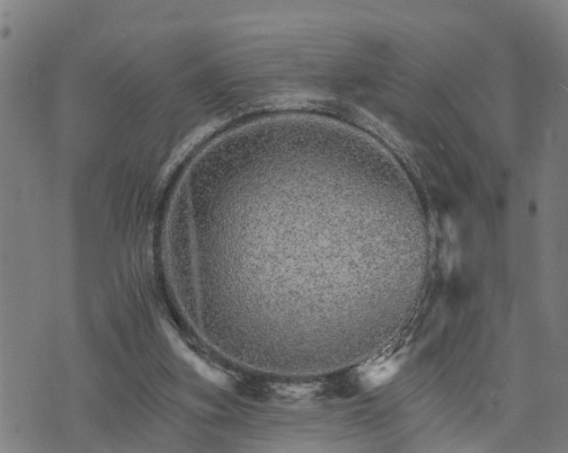 X0000074220155200609011225