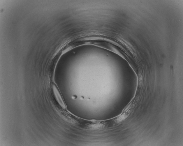 X0000074220158200609011225