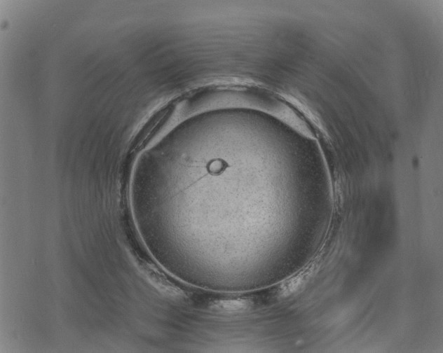 X0000074220159200609011225