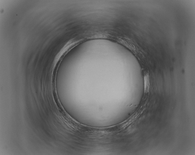 X0000074220195200609011225