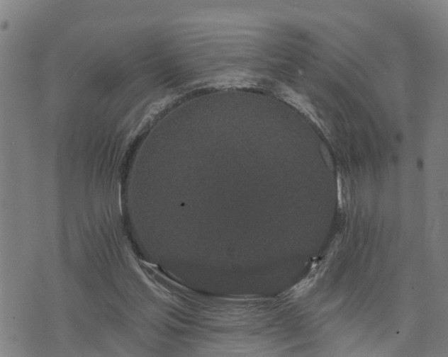 X0000074220205200609011225