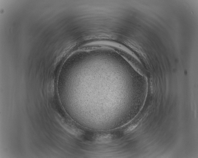 X0000074220206200609011225