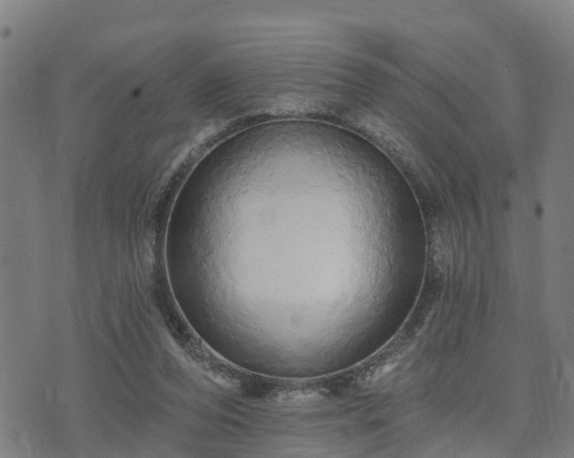 X0000074220208200609011225