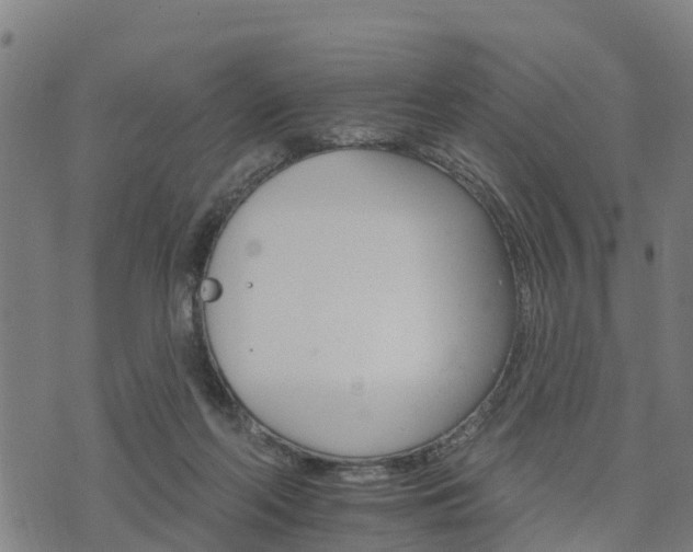 X0000074220214200609011225