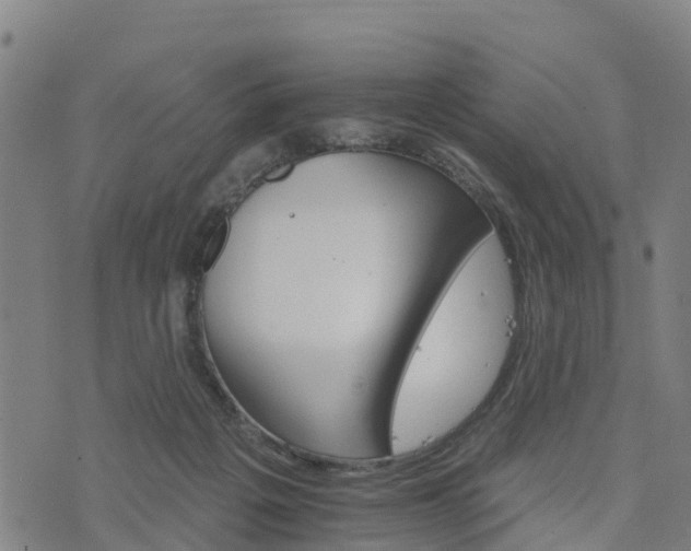 X0000074220217200609011225