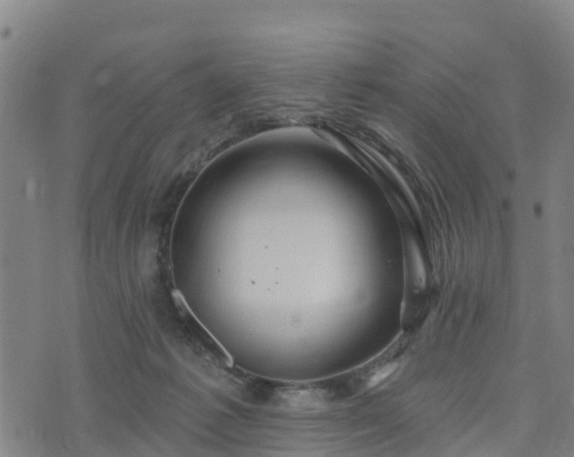 X0000074220221200609011225